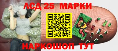 мяу мяу мука Ликино-Дулёво