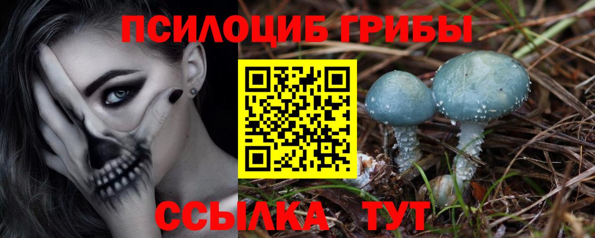 A-PVP СК   Ижевск  Экстази  ГАШИШ  МЕТАМФЕТАМИН  Канабис  Марихуана  Вход с VPN  Меф кристаллы  COCAIN 