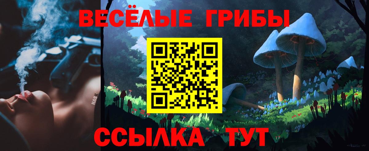 Ижевск  Псилоцибиновые грибы GOLDEN TEACHER  Вход с VPN 
